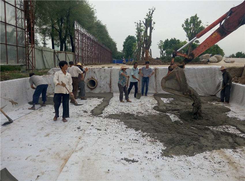 鈉基麻豆一级黄片成就人工湖內花美魚肥